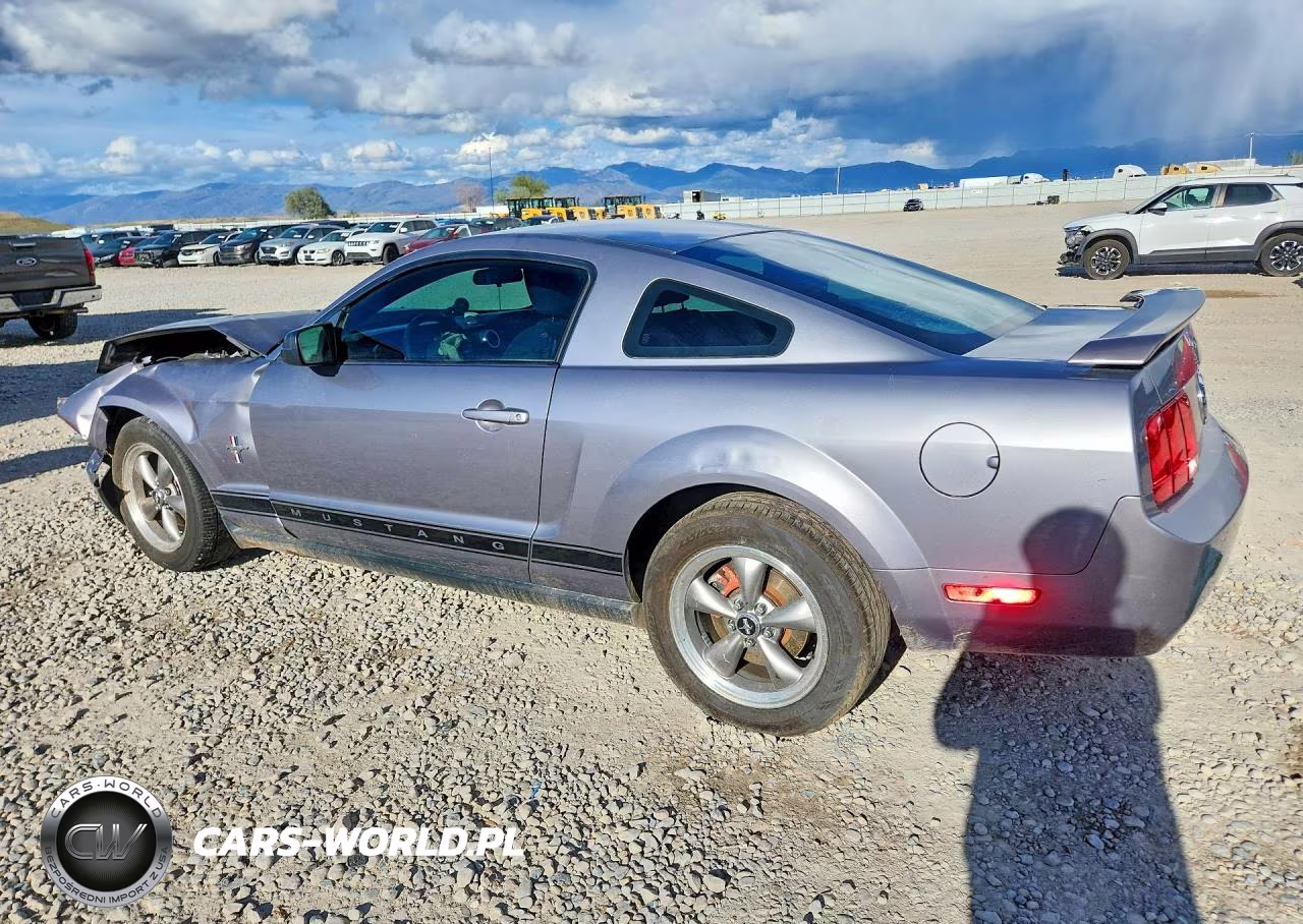 2006 Ford Mustang VIN:1ZVFT80N265237089 - 2
