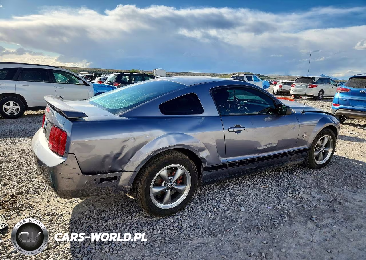 2006 Ford Mustang VIN:1ZVFT80N265237089 - 3