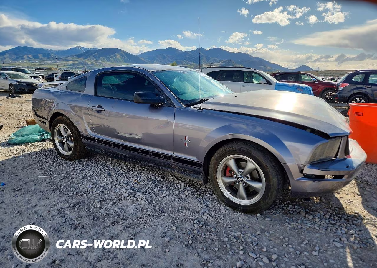 2006 Ford Mustang VIN:1ZVFT80N265237089 - 4