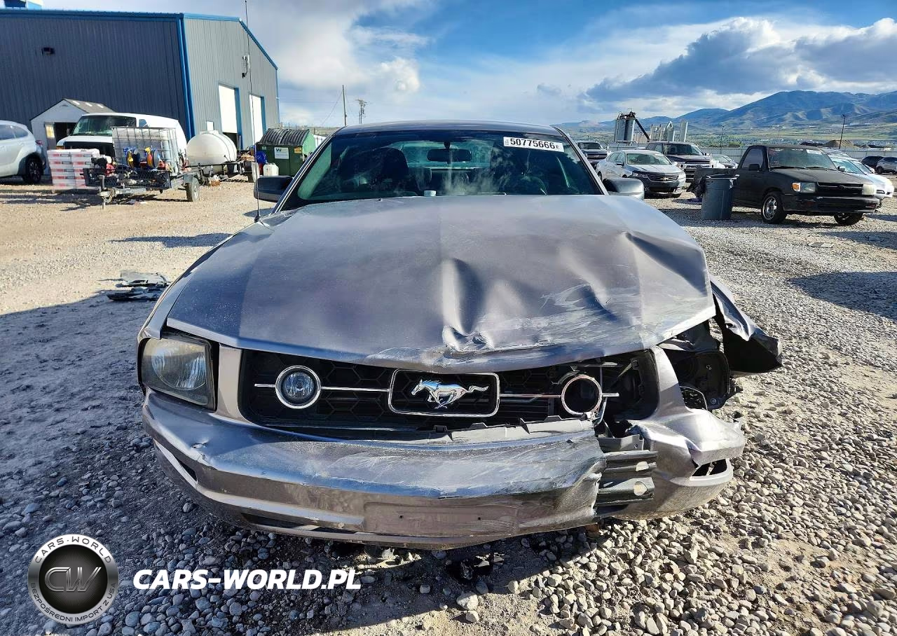 2006 Ford Mustang VIN:1ZVFT80N265237089 - 5