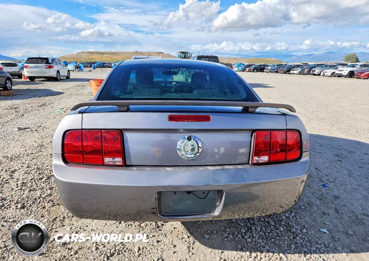 2006 Ford Mustang VIN:1ZVFT80N265237089 - 6