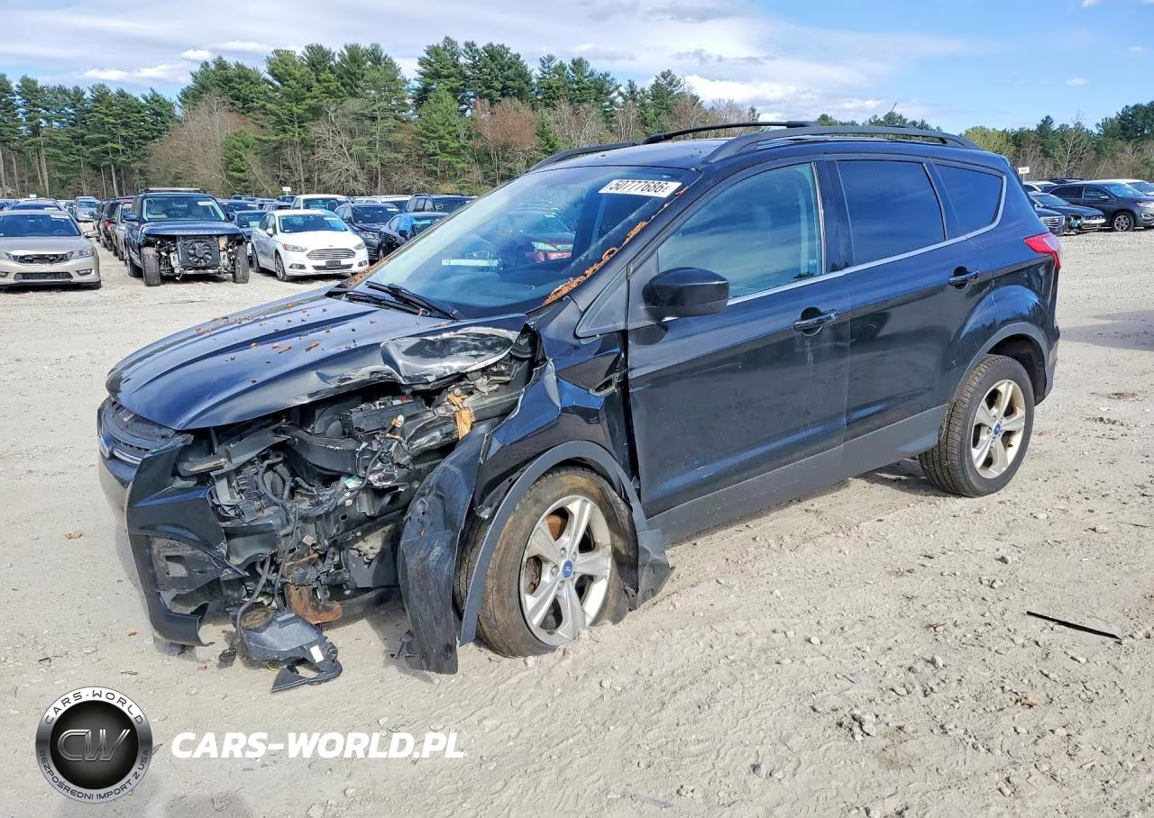 2013 Ford Escape Se