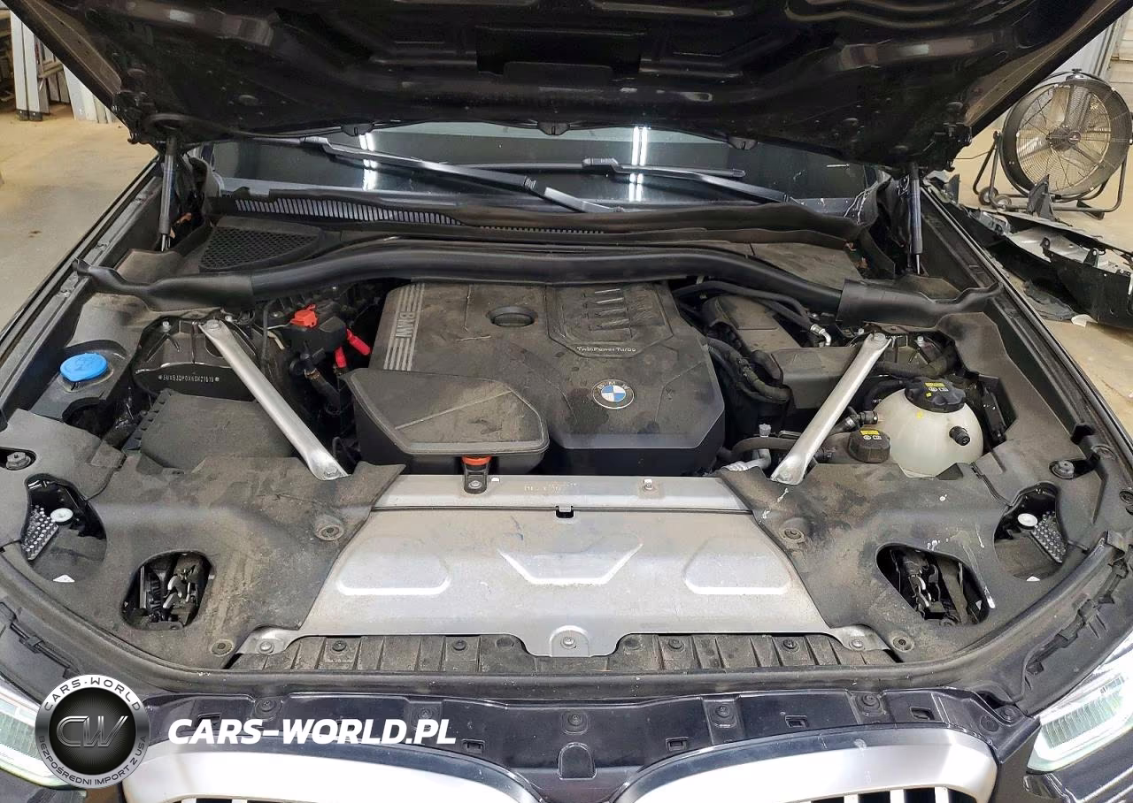 2022 BMW X3 xDrive30I VIN:5UX53DP0XN9K21519 - 12
