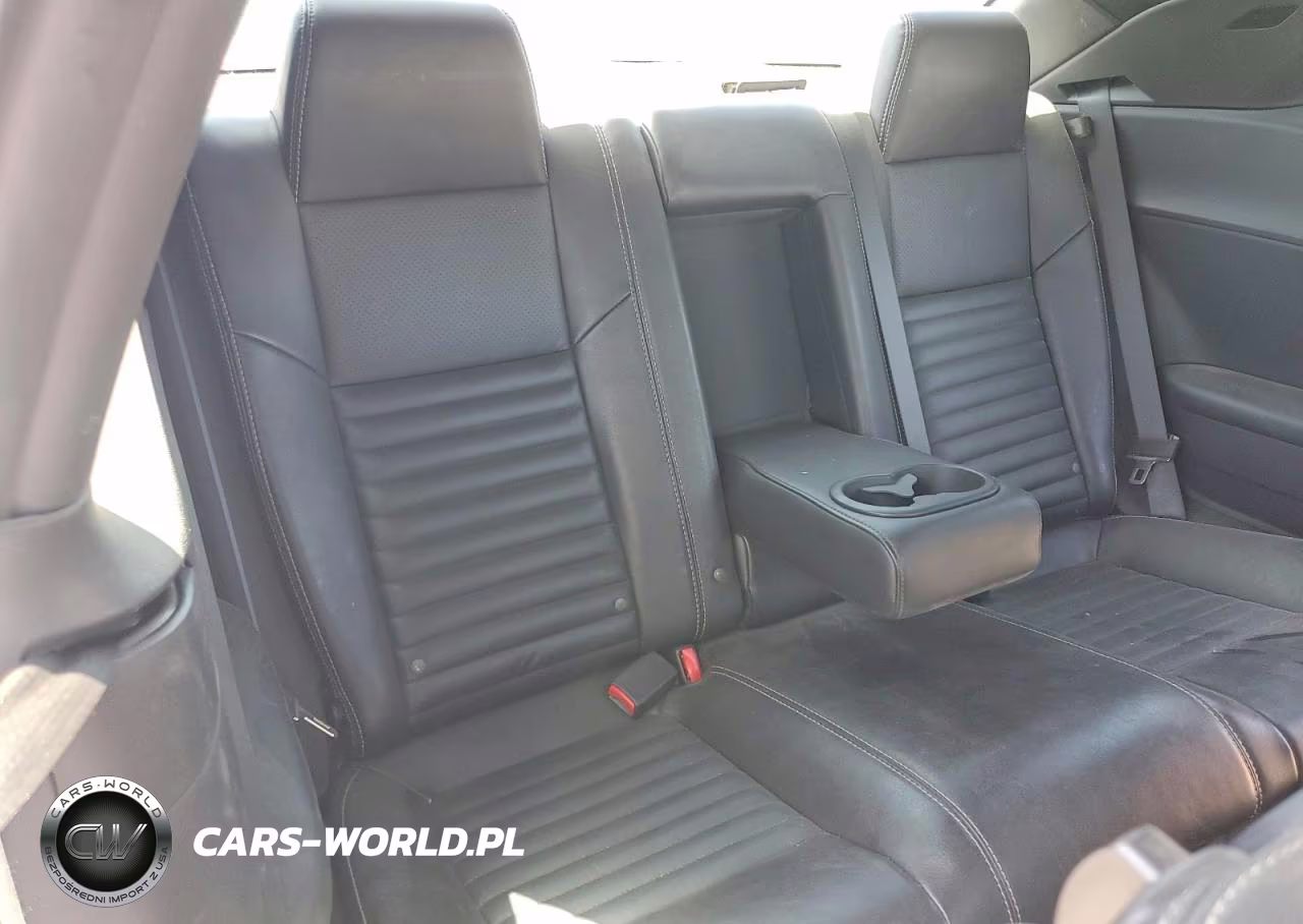 2010 Dodge Challenger R VIN:2B3CJ5DT0AH217963 - 10