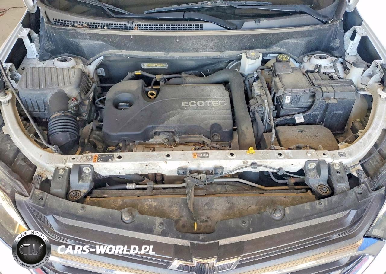 2019 Chevrolet Equinox Ls VIN:3GNAXSEV3KL234419 - 12