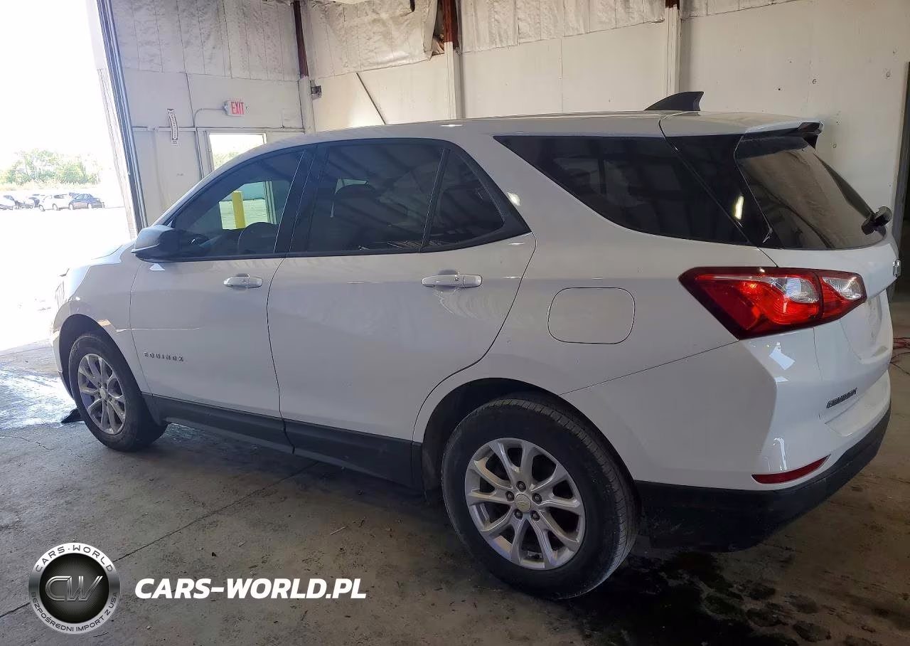 2019 Chevrolet Equinox Ls VIN:3GNAXSEV3KL234419 - 2