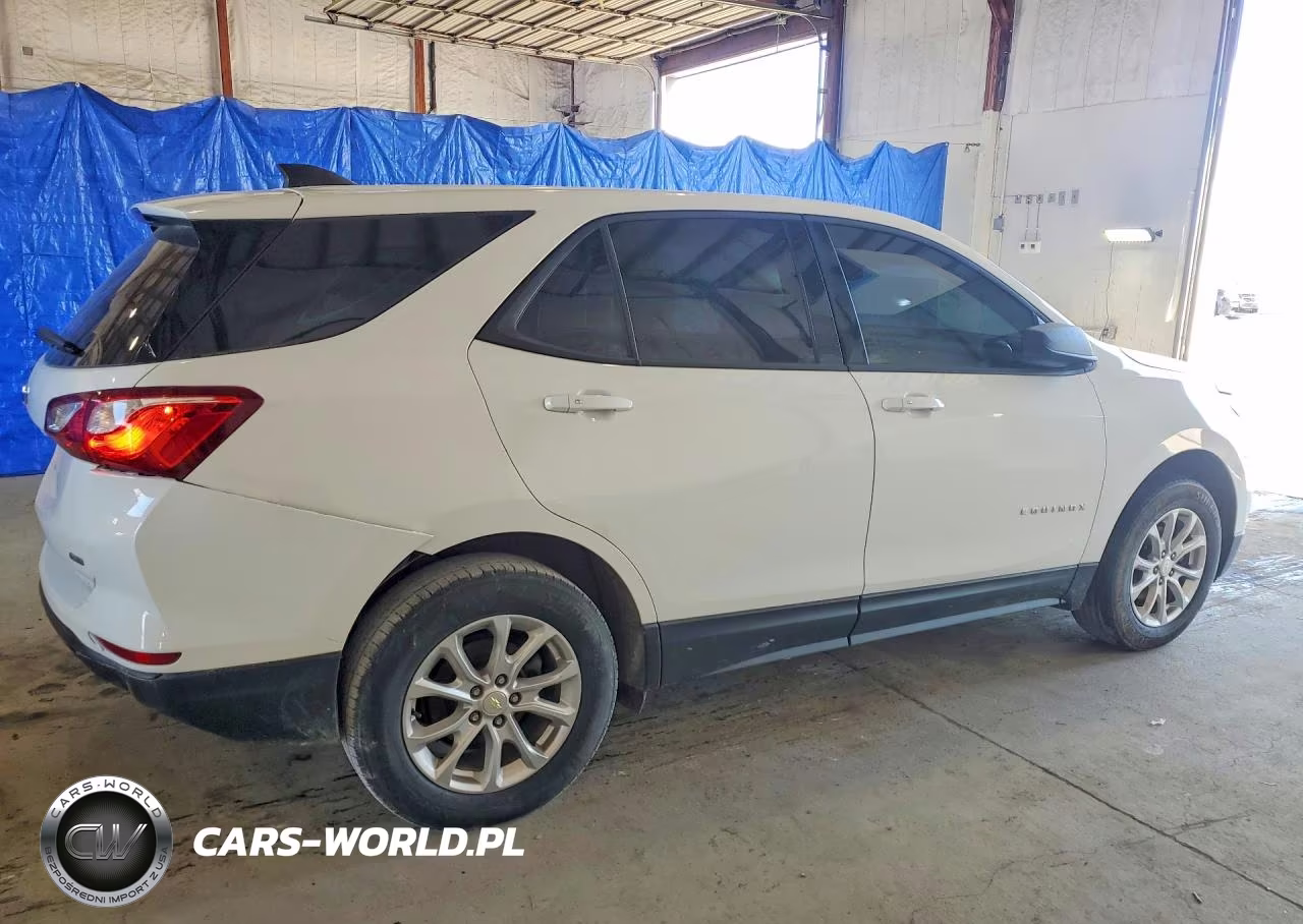 2019 Chevrolet Equinox Ls VIN:3GNAXSEV3KL234419 - 3