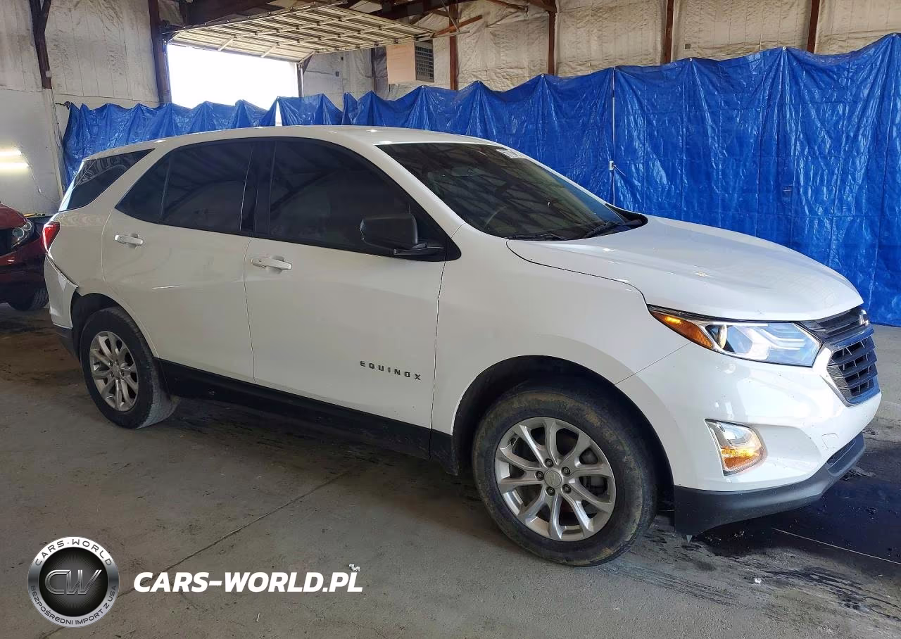 2019 Chevrolet Equinox Ls VIN:3GNAXSEV3KL234419 - 4