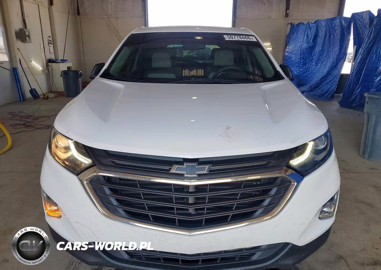 2019 Chevrolet Equinox Ls VIN:3GNAXSEV3KL234419 - 5