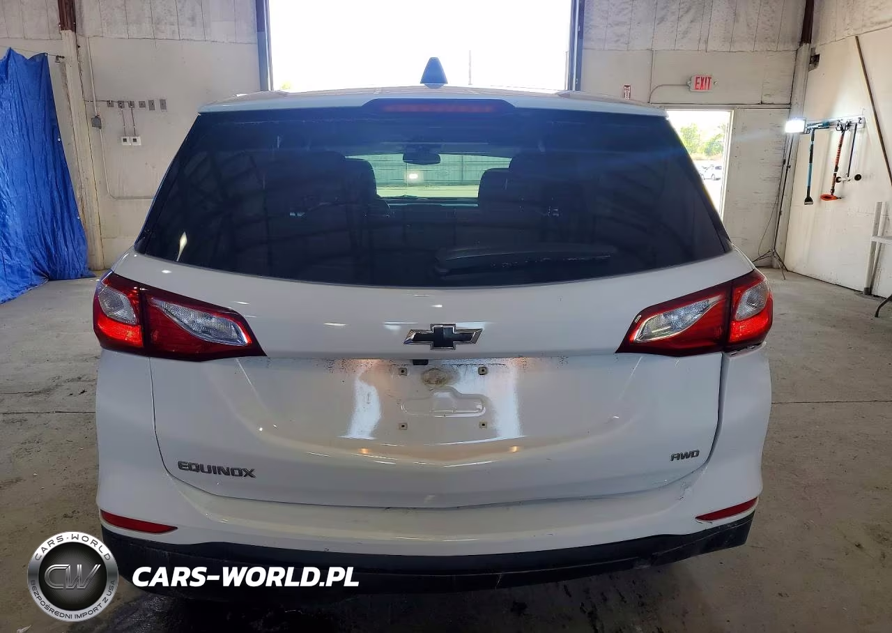 2019 Chevrolet Equinox Ls VIN:3GNAXSEV3KL234419 - 6