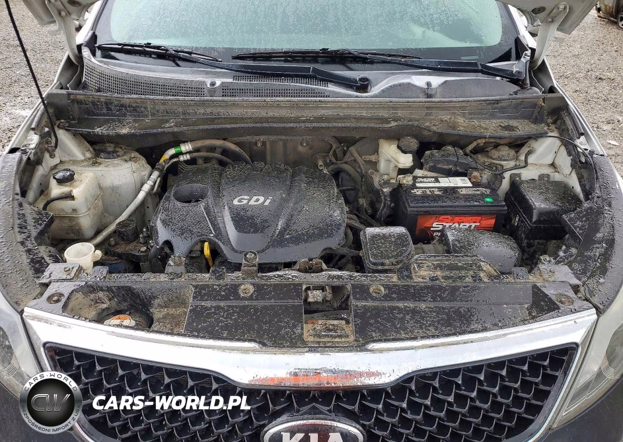 2014 Kia Sportage Lx VIN:KNDPB3AC5E7547430 - 11
