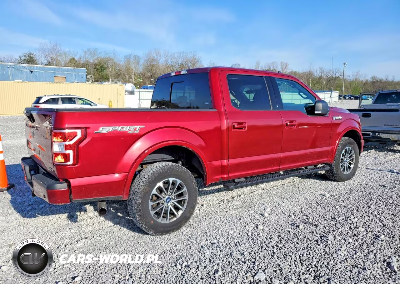 2019 Ford F150 Supercrew VIN:1FTEW1EPXKFB14166 - 3
