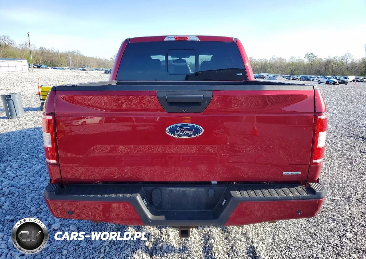 2019 Ford F150 Supercrew VIN:1FTEW1EPXKFB14166 - 6