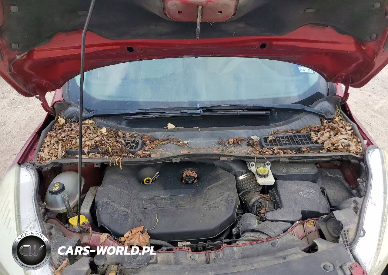 2017 Ford Escape Se VIN:1FMCU0G92HUC56405 - 12