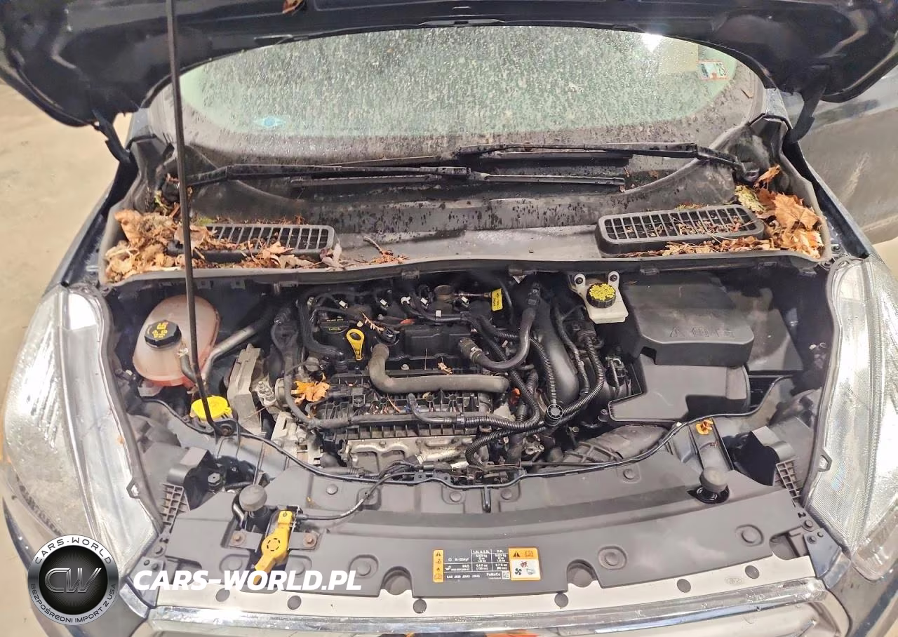 2019 Ford Escape Se VIN:1FMCU9GD0KUA86657 - 12