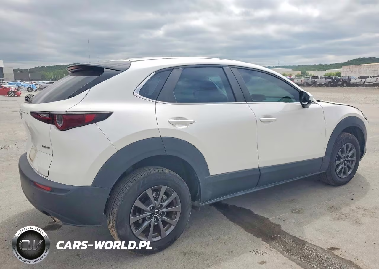 2021 Mazda Cx-30 VIN:3MVDMAAL7MM205370 - 3
