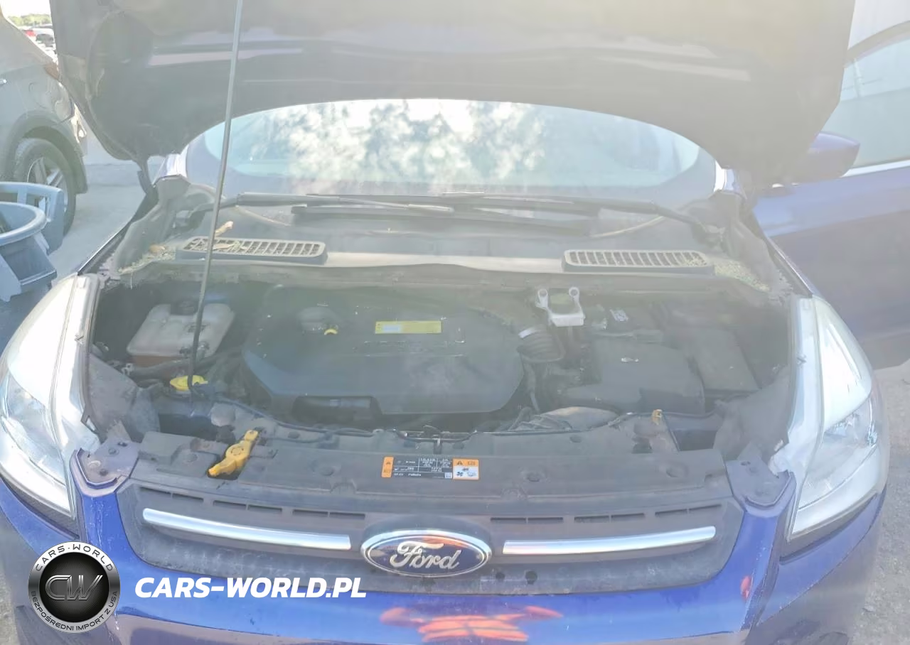 2013 Ford Escape Se VIN:1FMCU0GX7DUC45358 - 12