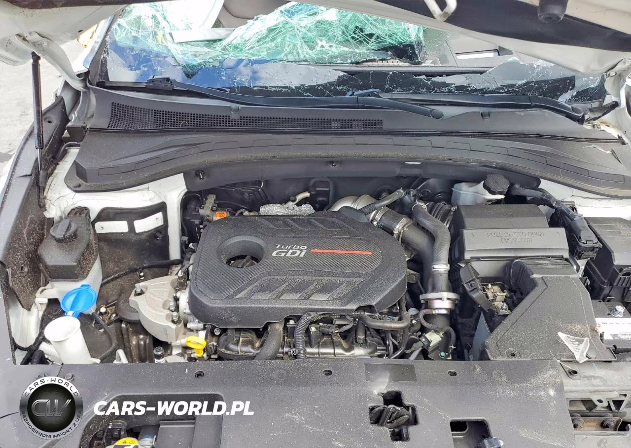 2019 Hyundai Santa Fe Ultimate 2.0T VIN:5NMS53AA4KH117344 - 12
