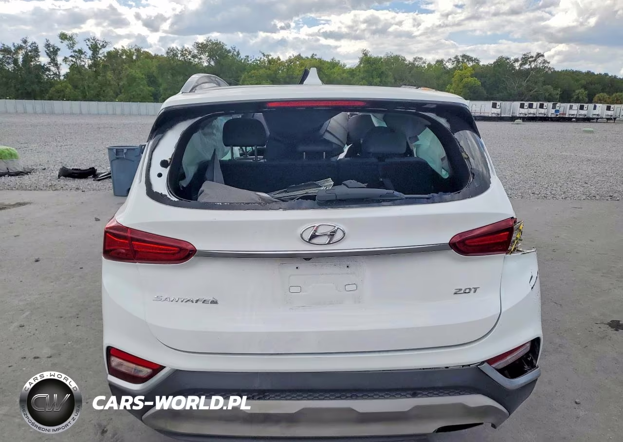 2019 Hyundai Santa Fe Ultimate 2.0T VIN:5NMS53AA4KH117344 - 6