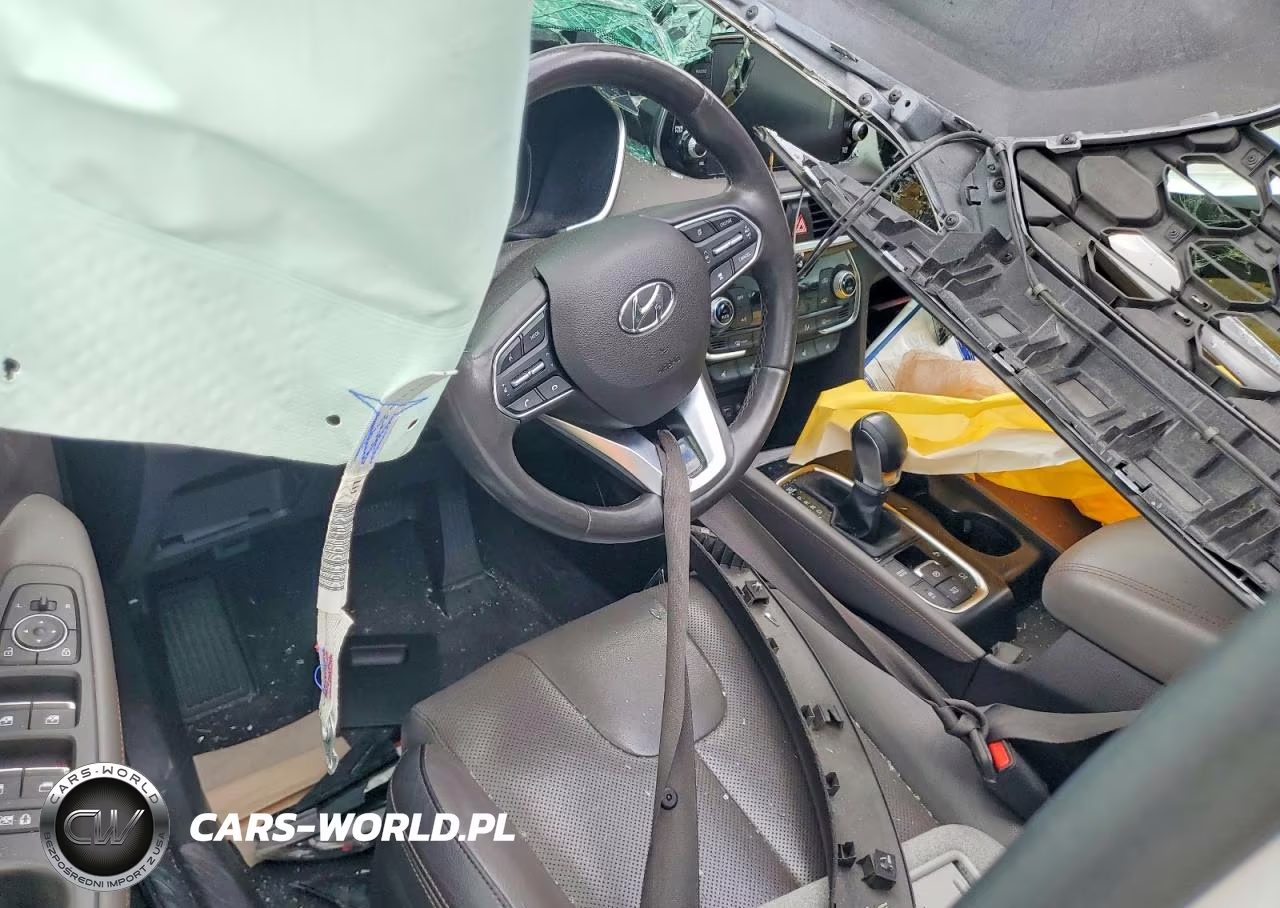 2019 Hyundai Santa Fe Ultimate 2.0T VIN:5NMS53AA4KH117344 - 8