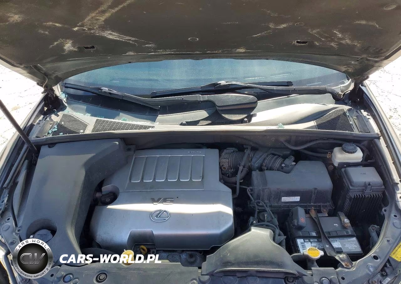 2009 Lexus Rx 350 VIN:2T2HK31U69C125101 - 12