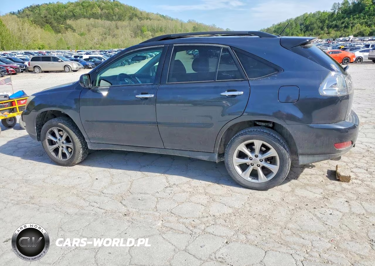 2009 Lexus Rx 350 VIN:2T2HK31U69C125101 - 2