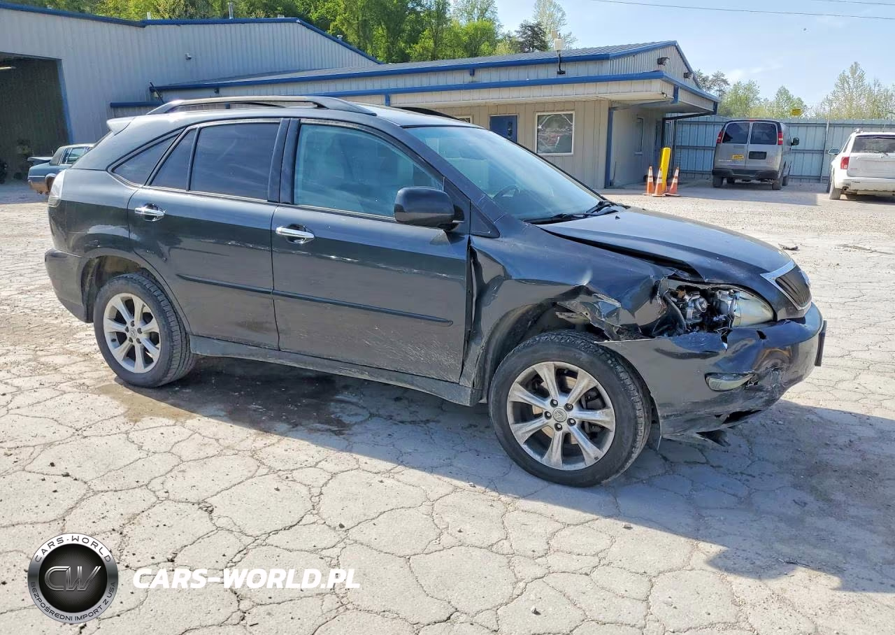 2009 Lexus Rx 350 VIN:2T2HK31U69C125101 - 4