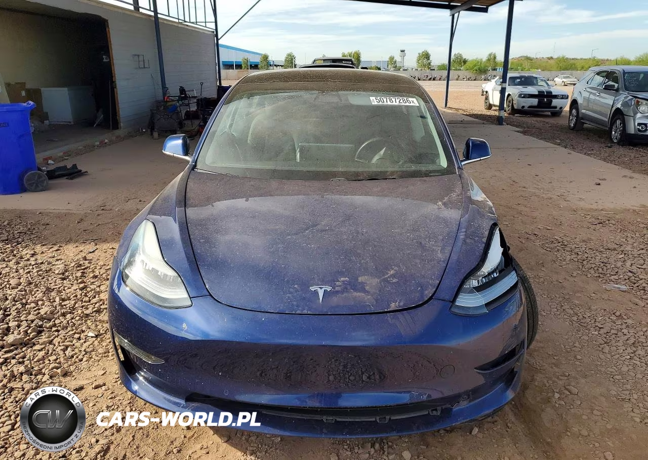 2019 Tesla Model 3 VIN:5YJ3E1EB3KF497449 - 5
