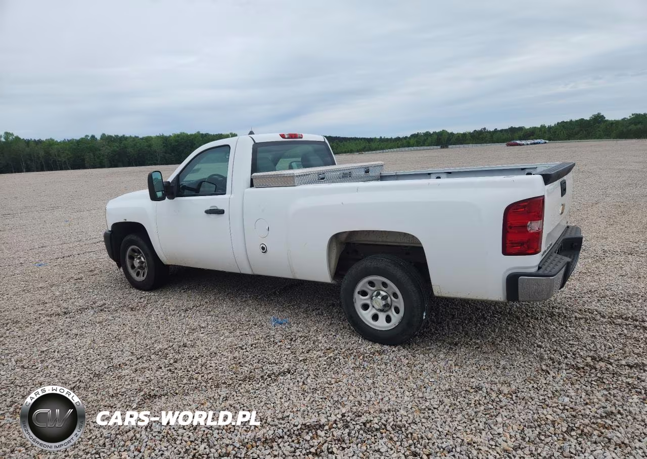2013 Chevrolet Silverado C1500 VIN:1GCNCPEX2DZ900217 - 2