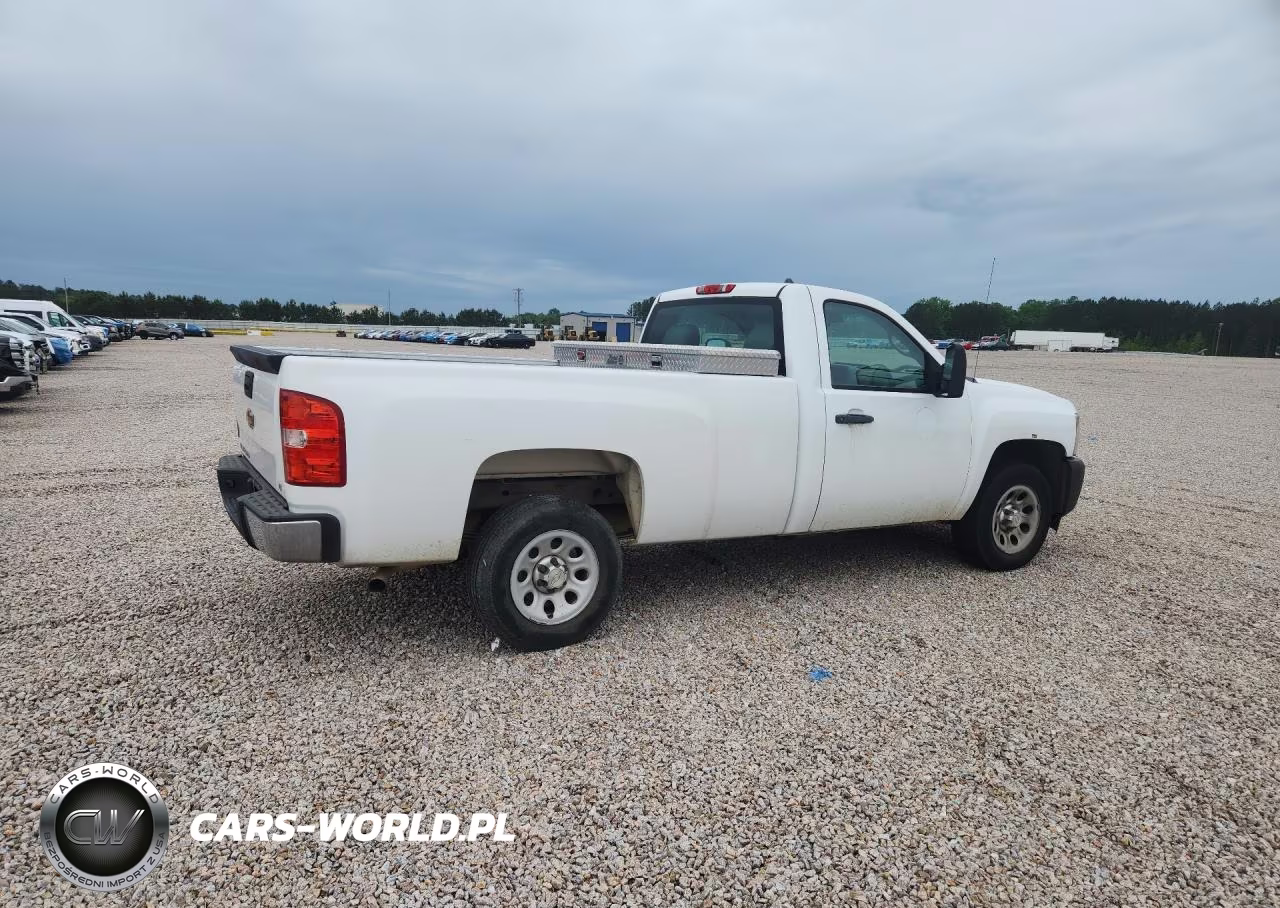 2013 Chevrolet Silverado C1500 VIN:1GCNCPEX2DZ900217 - 3