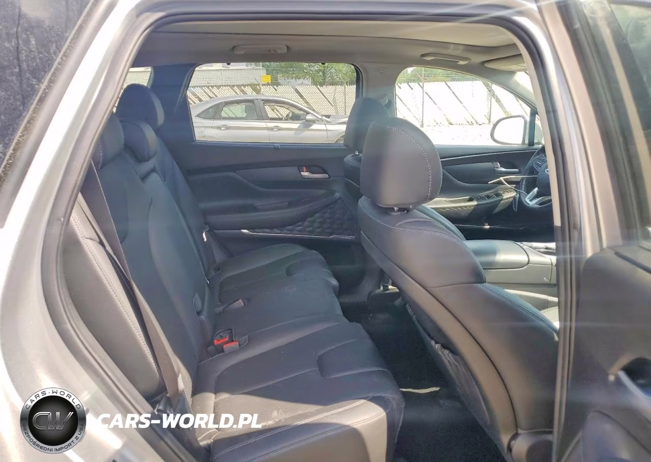 2023 Hyundai Santa Fe Sel Premium VIN:5NMS3DAJ1PH556357 - 11