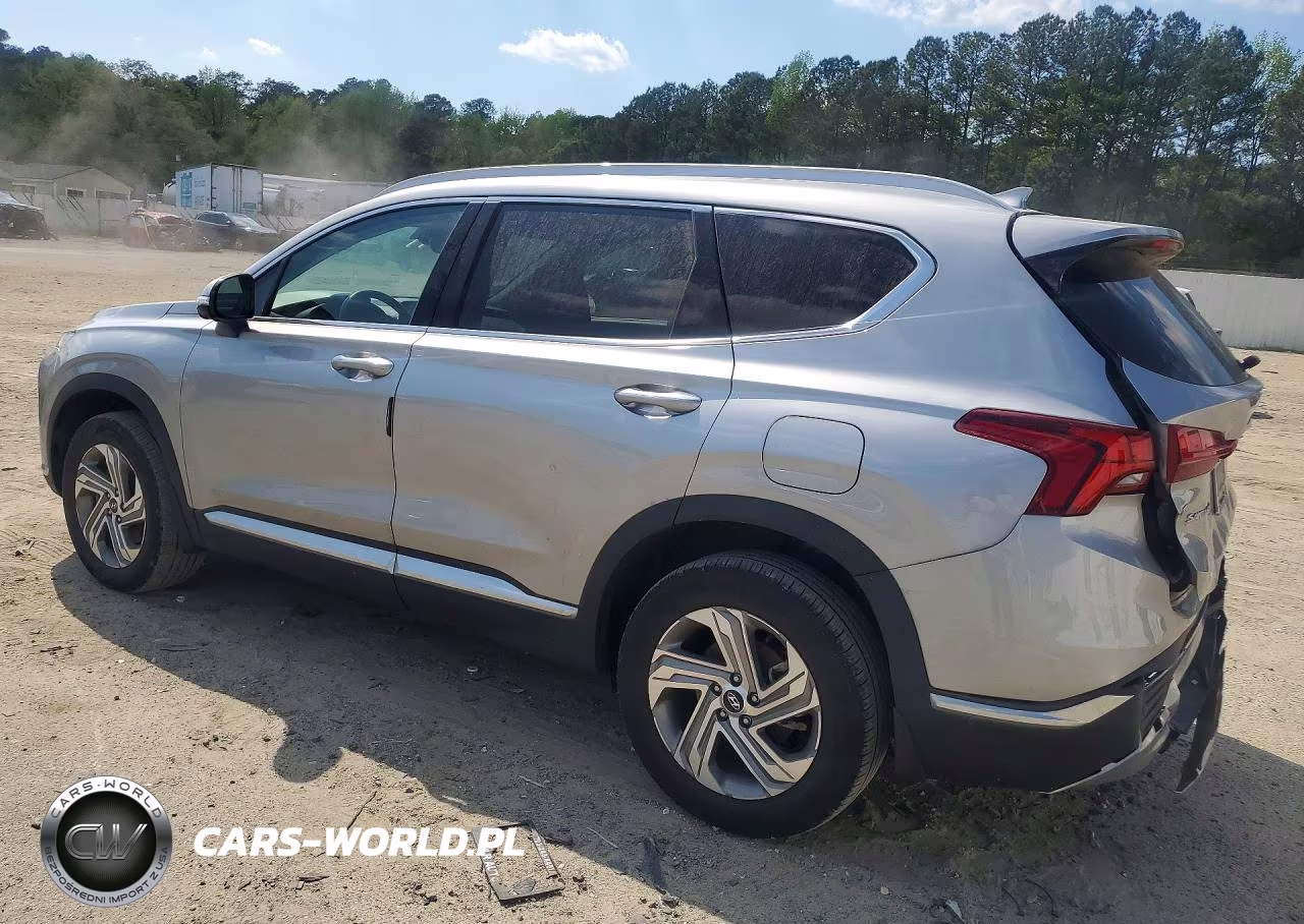 2023 Hyundai Santa Fe Sel Premium VIN:5NMS3DAJ1PH556357 - 2
