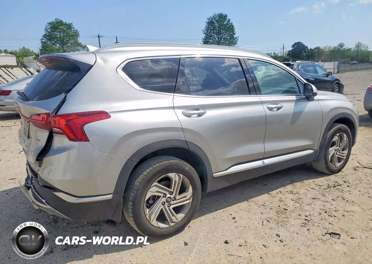 2023 Hyundai Santa Fe Sel Premium VIN:5NMS3DAJ1PH556357 - 3