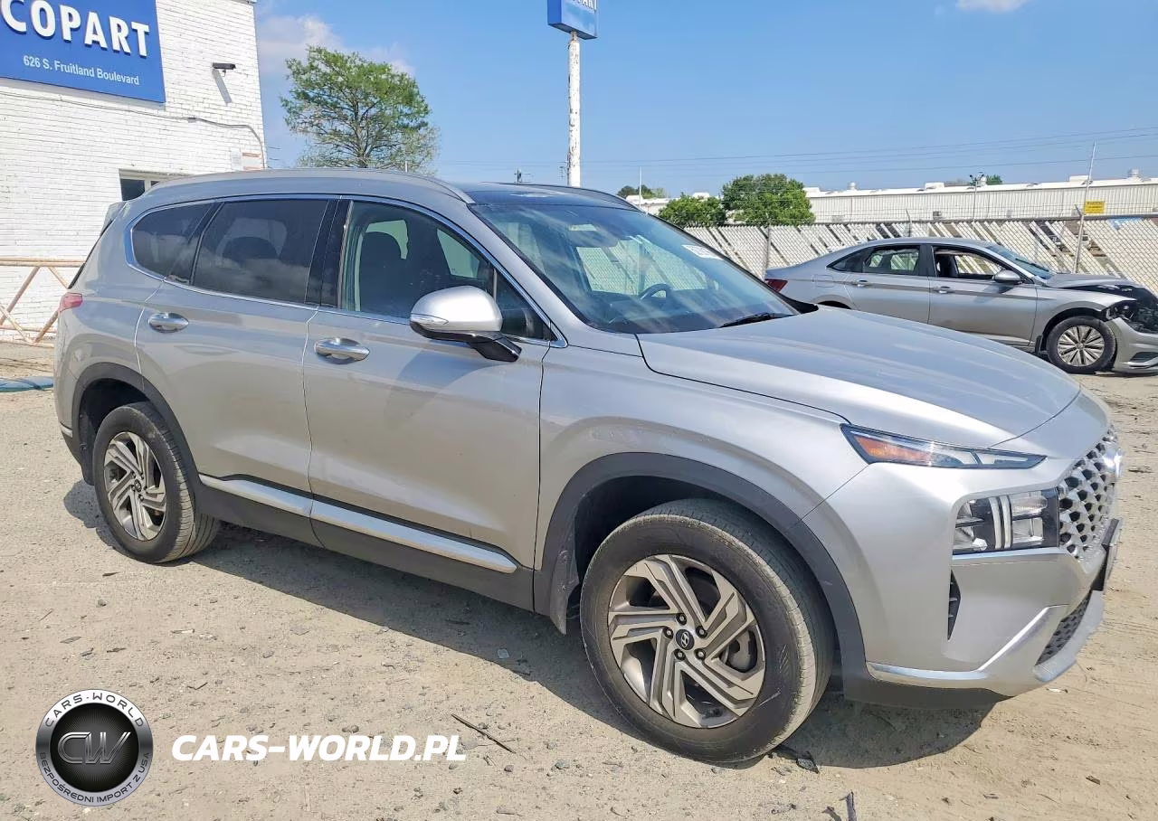 2023 Hyundai Santa Fe Sel Premium VIN:5NMS3DAJ1PH556357 - 4