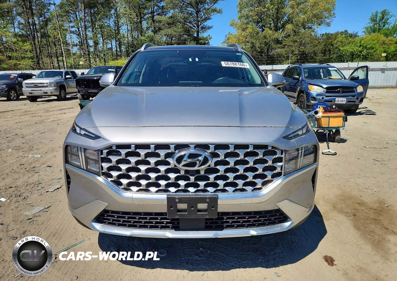 2023 Hyundai Santa Fe Sel Premium VIN:5NMS3DAJ1PH556357 - 5