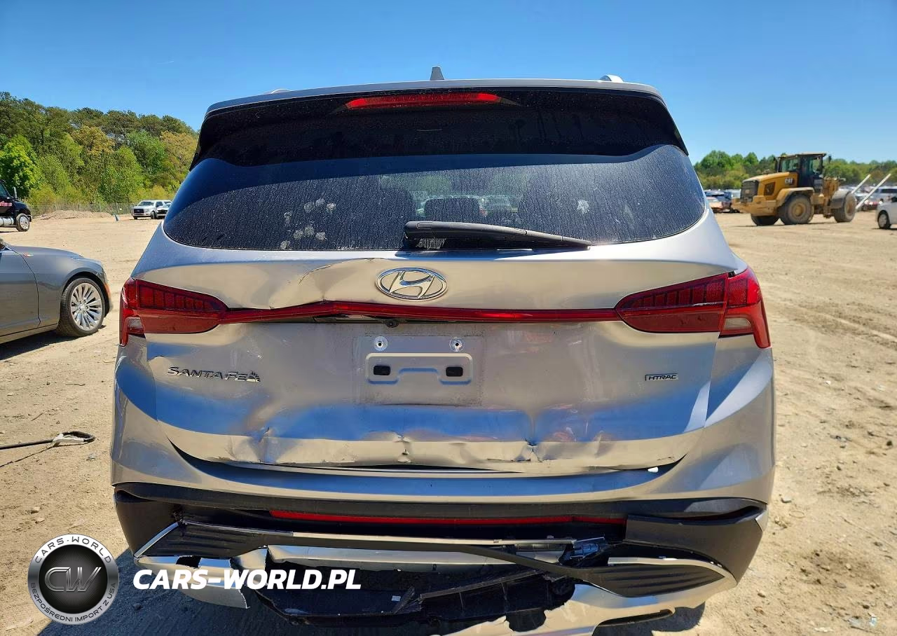 2023 Hyundai Santa Fe Sel Premium VIN:5NMS3DAJ1PH556357 - 6