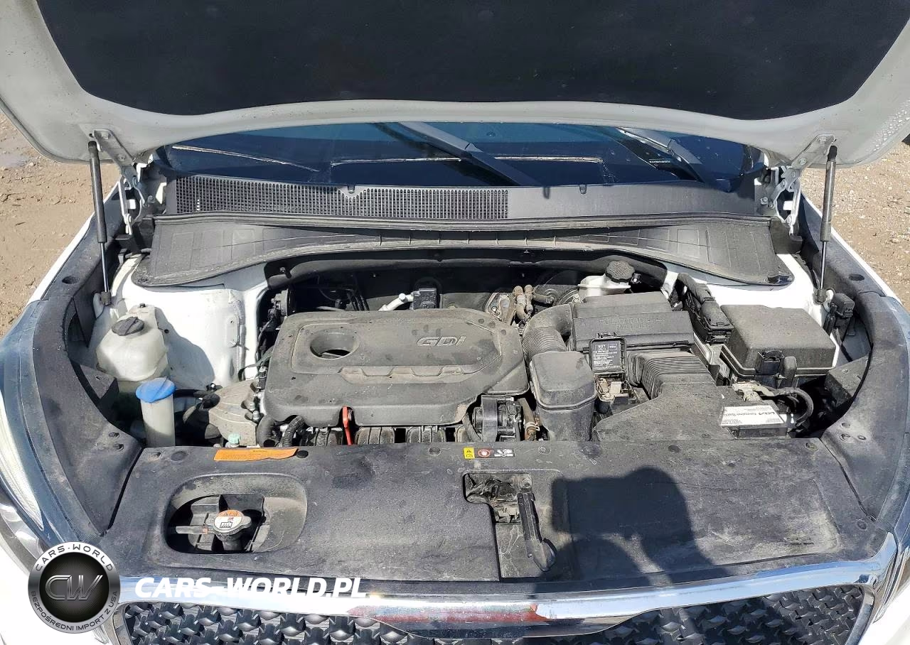 2017 Kia Sorento Lx VIN:5XYPGDA31HG289115 - 12