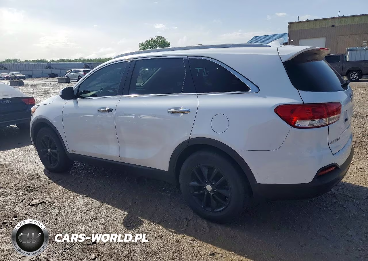 2017 Kia Sorento Lx VIN:5XYPGDA31HG289115 - 2