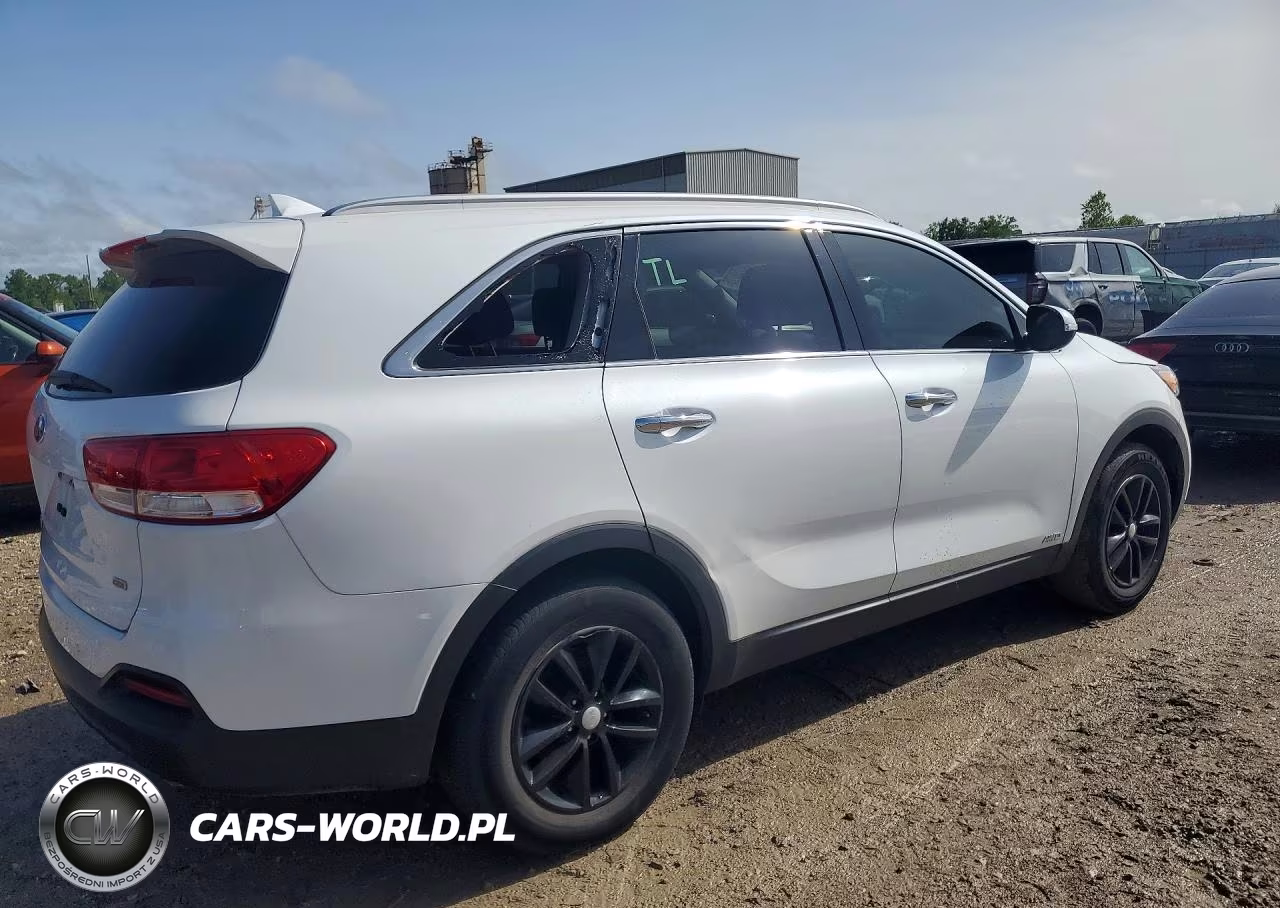 2017 Kia Sorento Lx VIN:5XYPGDA31HG289115 - 3