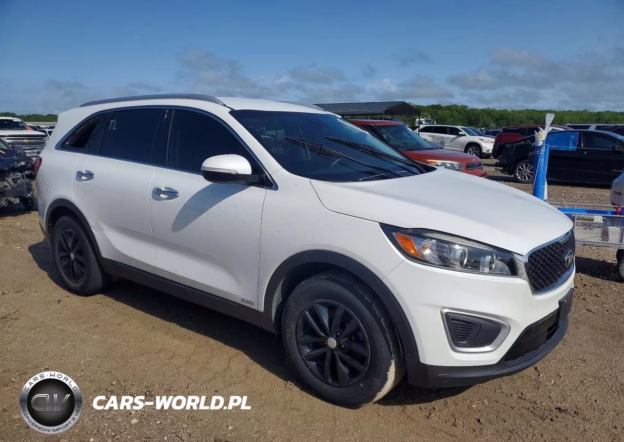 2017 Kia Sorento Lx VIN:5XYPGDA31HG289115 - 4