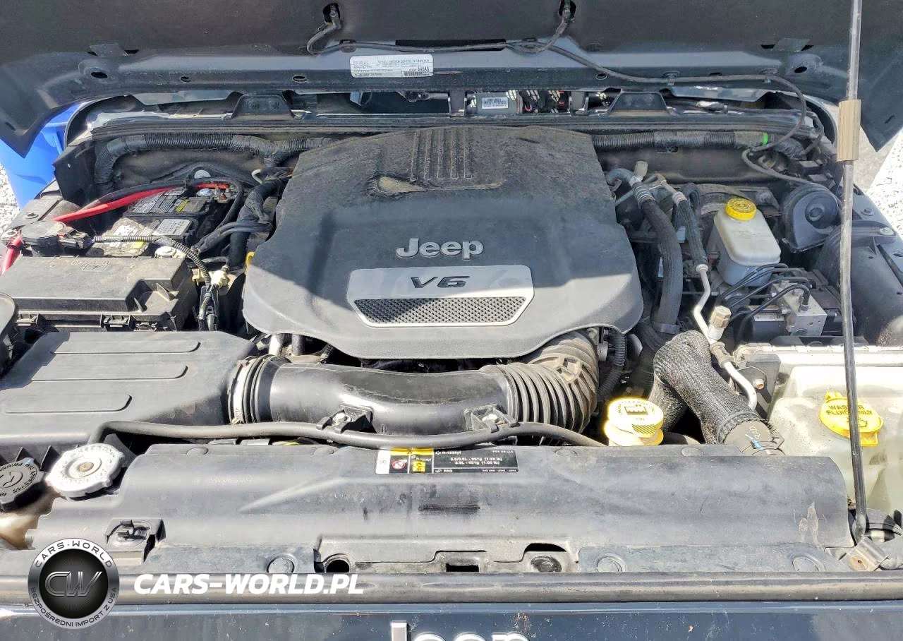 2017 Jeep Wrangler Unlimited Sahara VIN:1C4BJWEG0HL705423 - 11