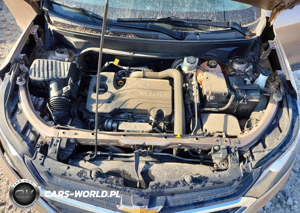 2019 Chevrolet Equinox Lt VIN:2GNAXJEV6K6300914 - 12