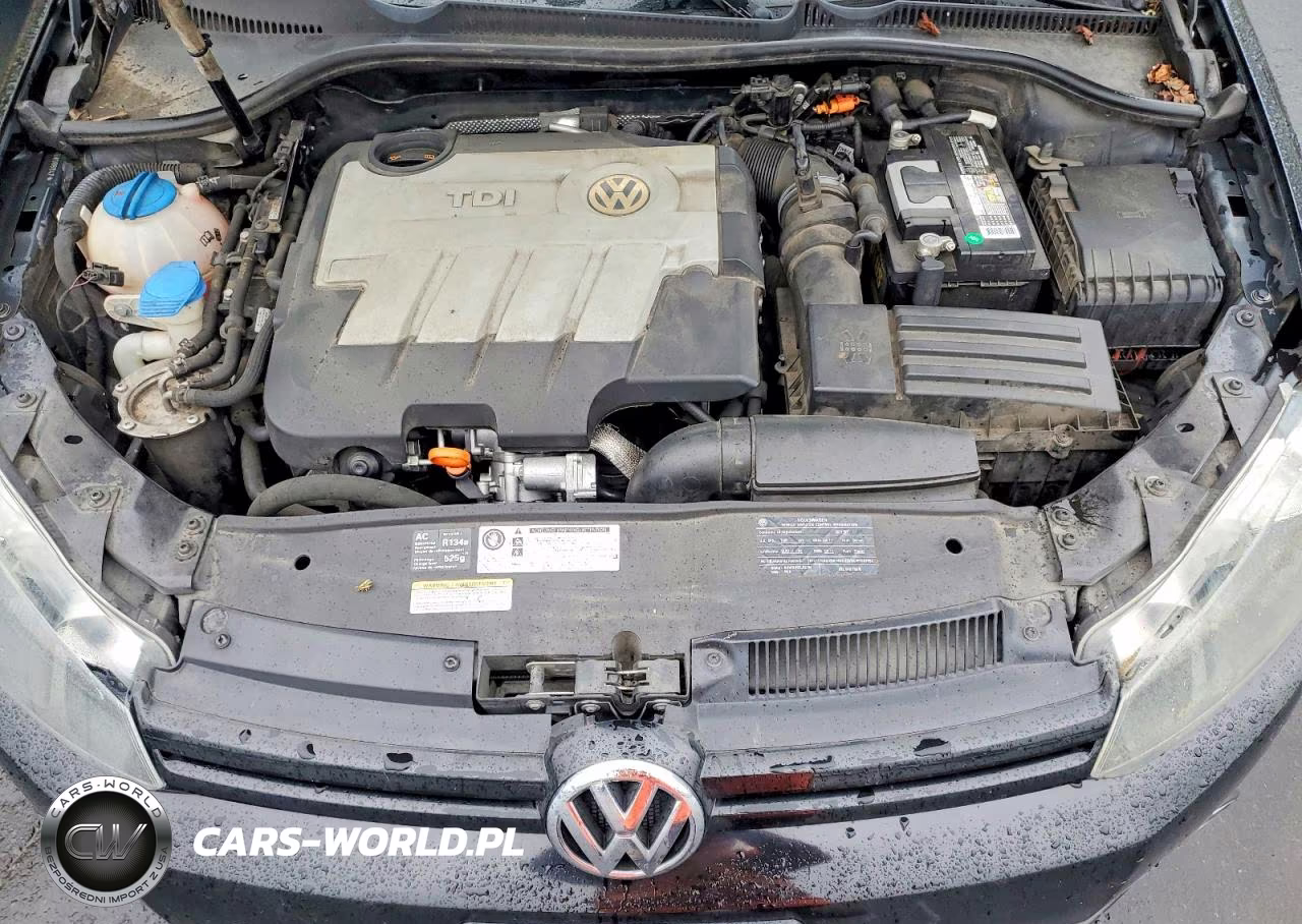 2011 Volkswagen Golf VIN:WVWDM7AJ4BW066847 - 11