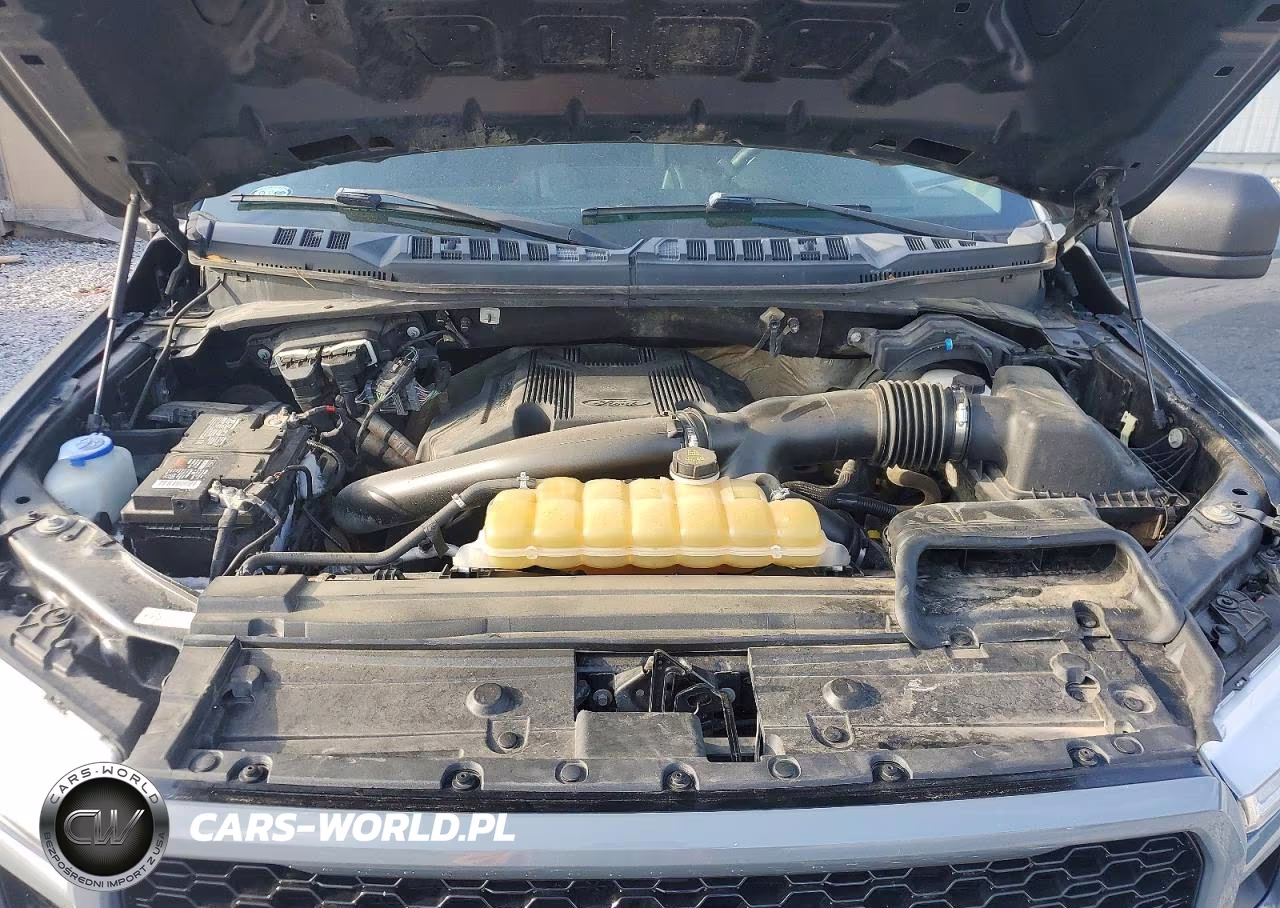 2019 Ford F150 Supercrew VIN:1FTEW1E48KKC48395 - 11