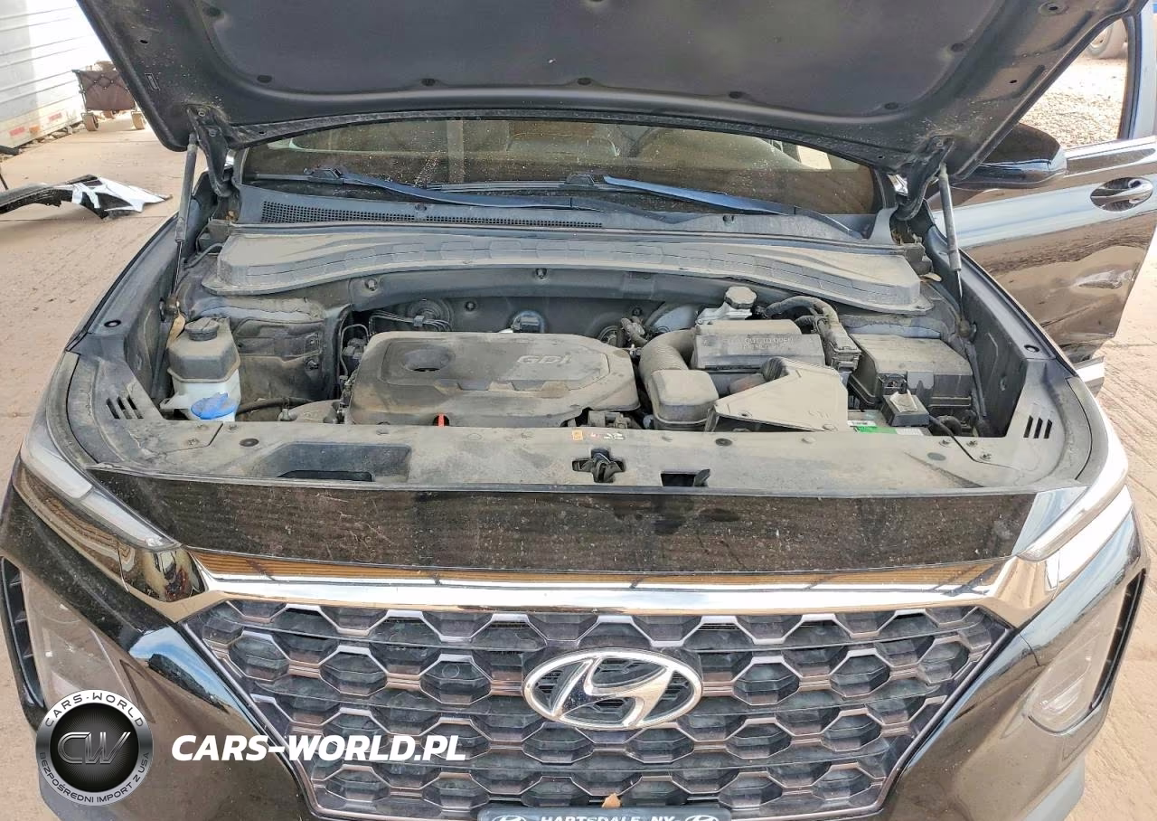 2019 Hyundai Santa Fe Se VIN:5NMS2CAD1KH033971 - 11