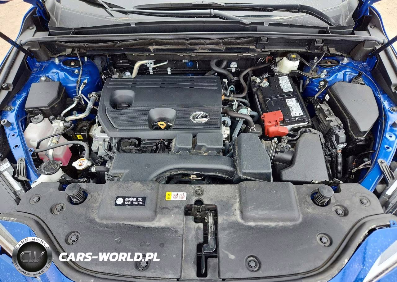 2025 Lexus Nx 250 Base VIN:2T2ADCAZ9SC017570 - 12