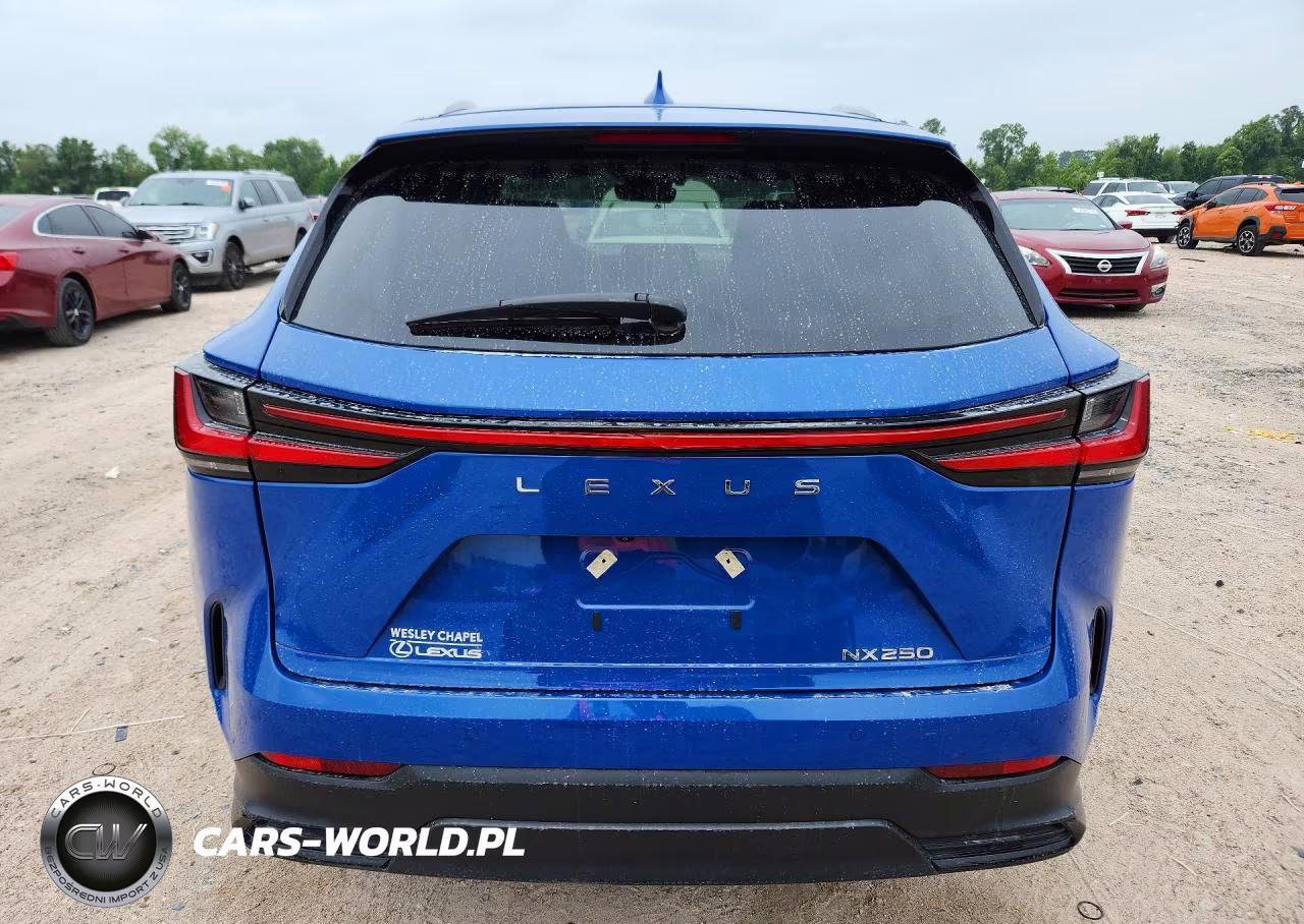 2025 Lexus Nx 250 Base VIN:2T2ADCAZ9SC017570 - 6