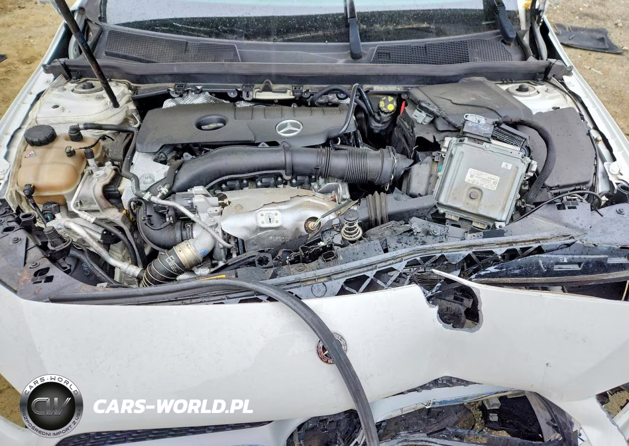 2019 Mercedes-Benz A 220 4Matic VIN:WDD3G4FB5KW024941 - 11