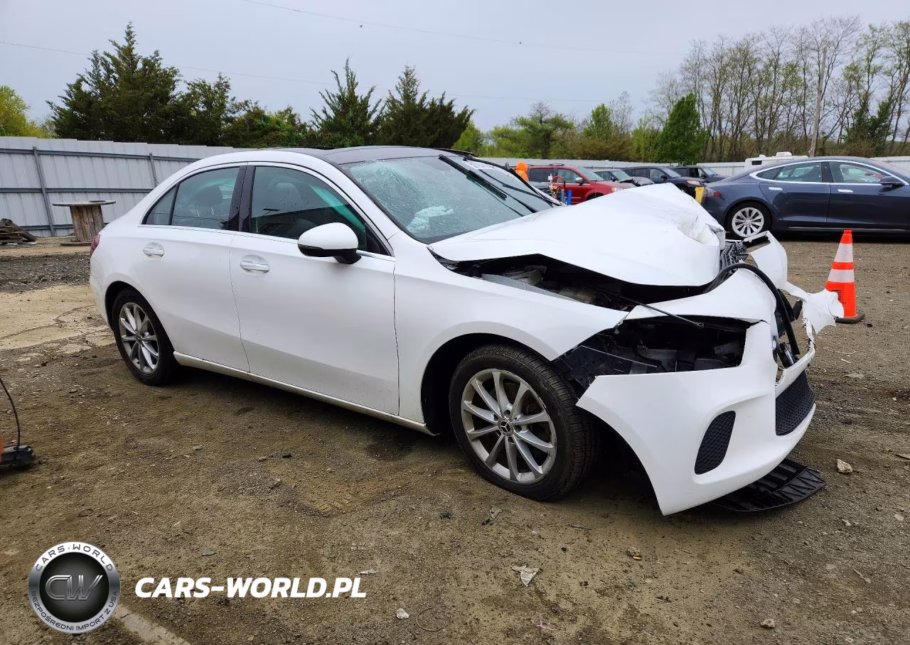 2019 Mercedes-Benz A 220 4Matic VIN:WDD3G4FB5KW024941 - 4