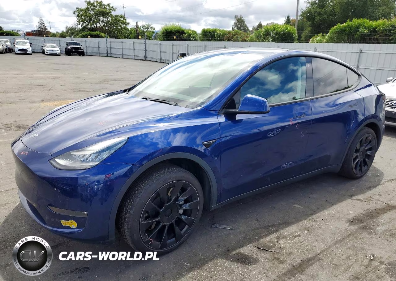 2020 Tesla Model Y